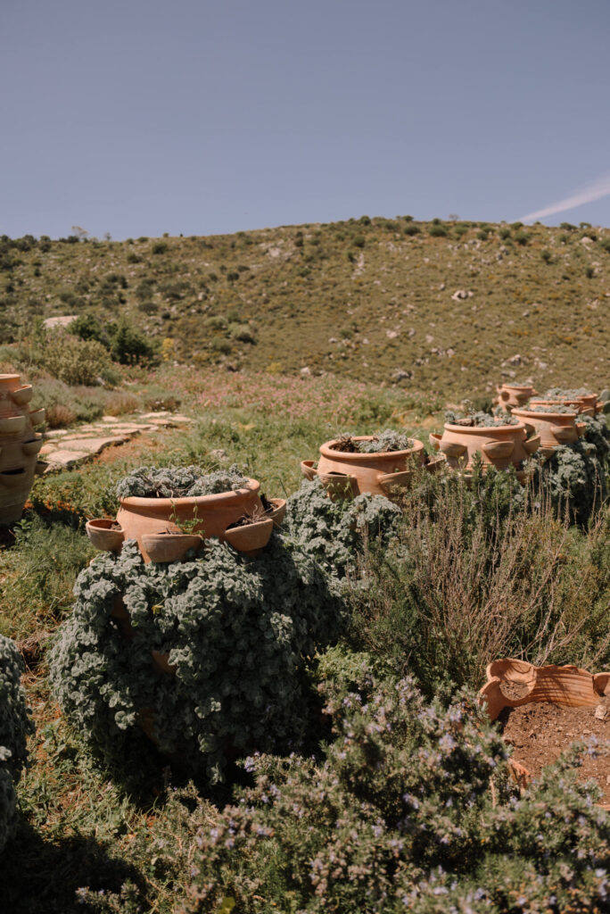 Organic cosmetics and soap workshop in a botanical garden