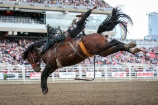 Rodeo