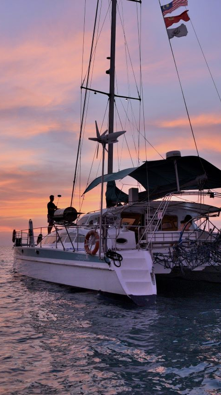 Catamaran cruise