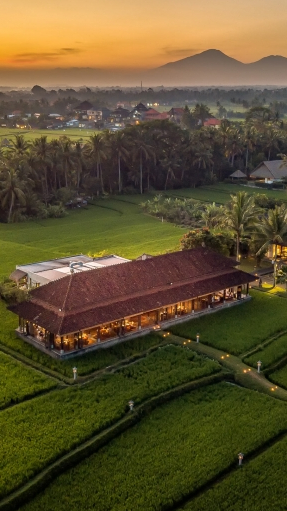 Aerial view of Ubud