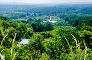 northern virginia winery