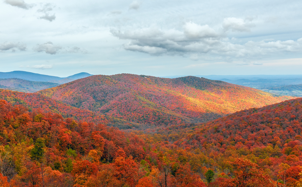 shenandoah