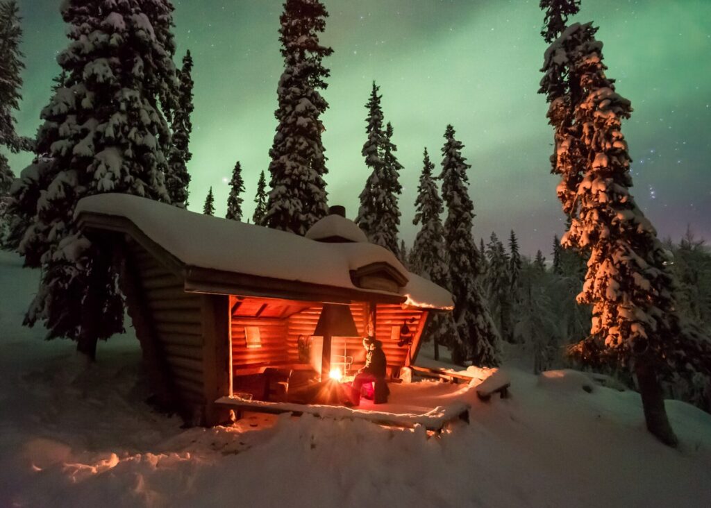 A home amongst trees