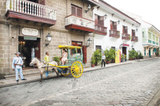 horse and carriage