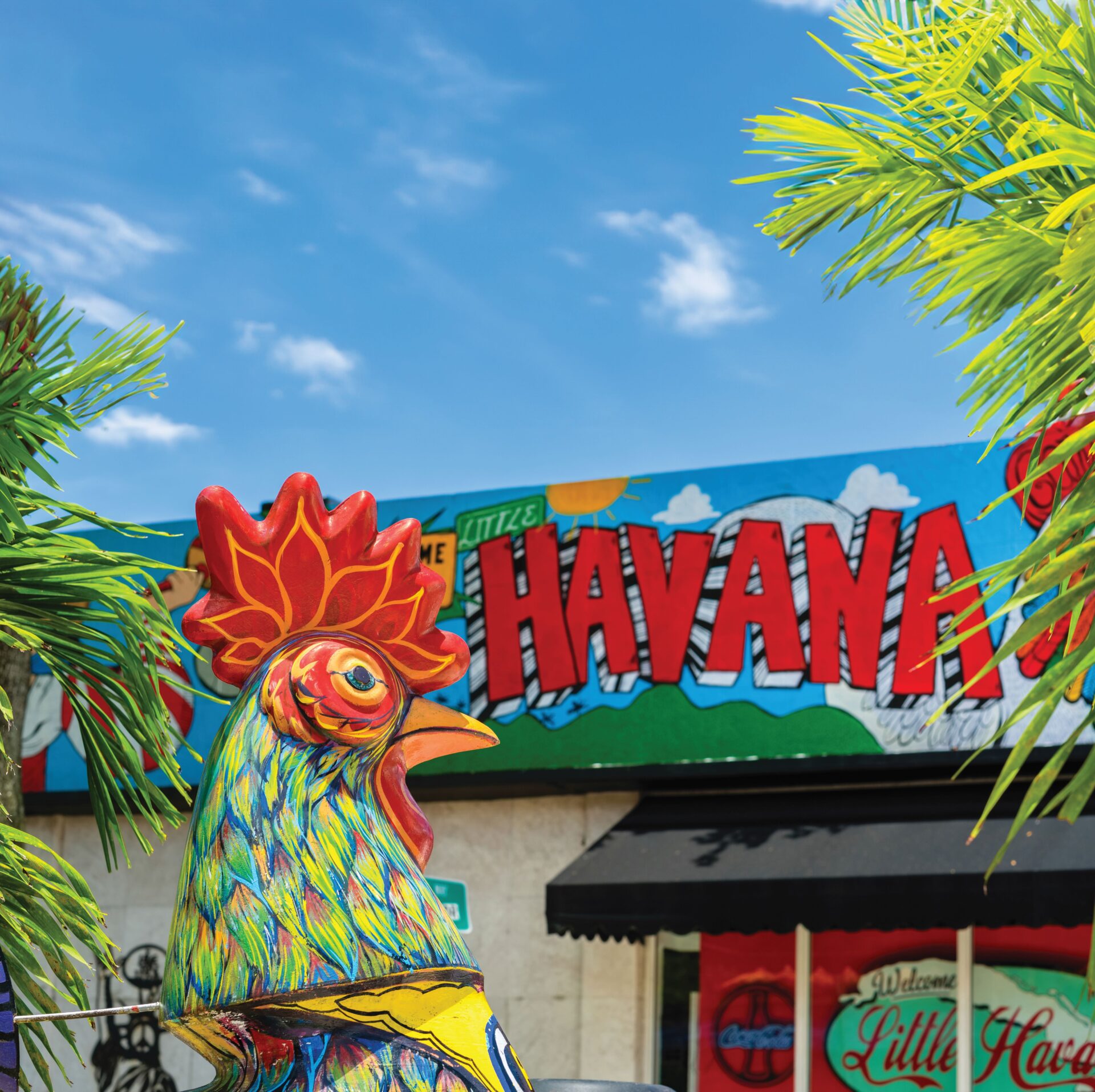 Little Havana