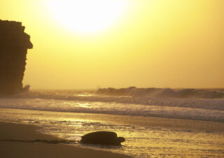 Turtle Beach of Oman
