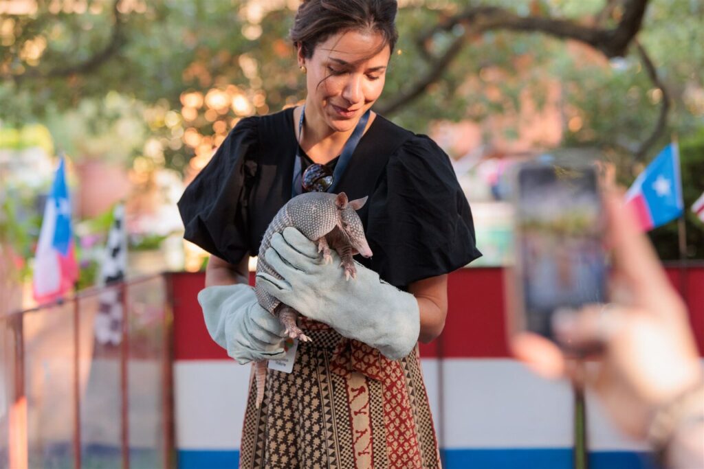 Armadillo Racing