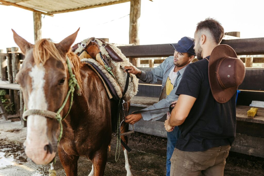 Horse ranch