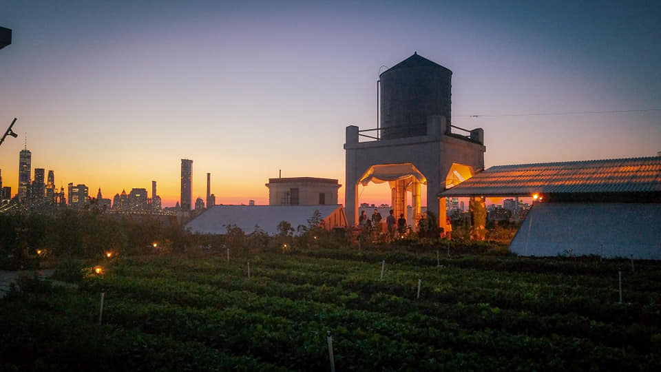 Dinner on an Urban Rooftop Farm
