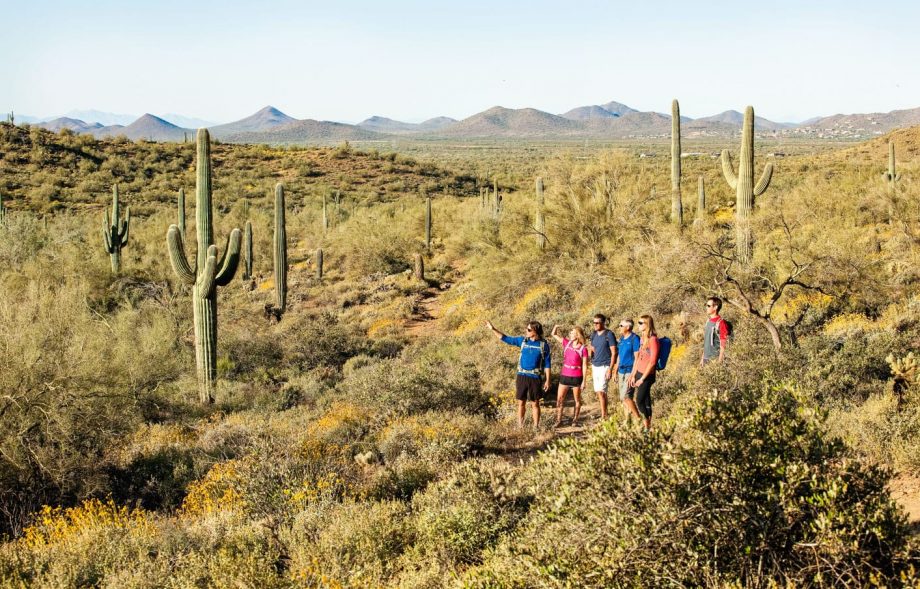 Hiking in the Arizona Desert