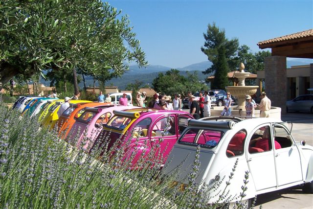 Vintage cars