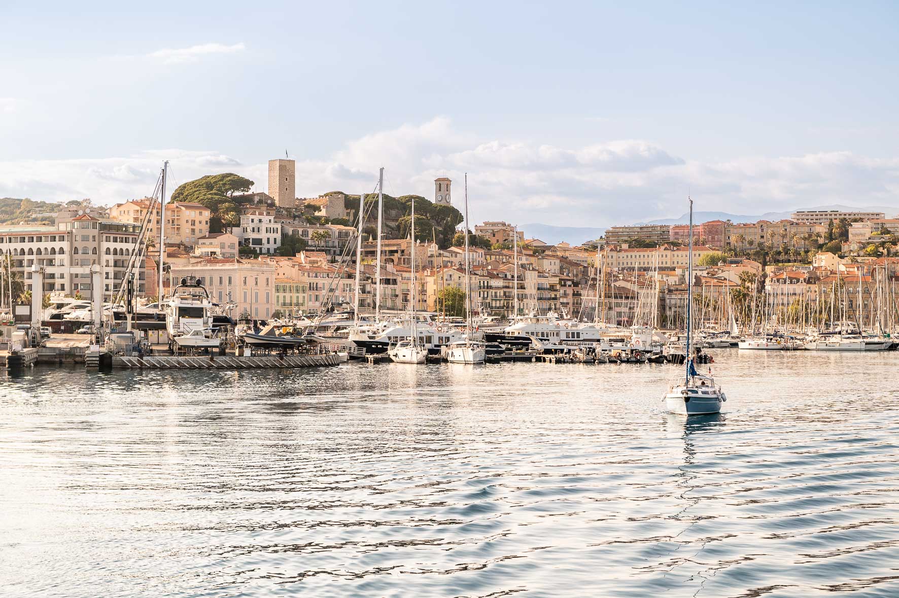 Coastal Cannes