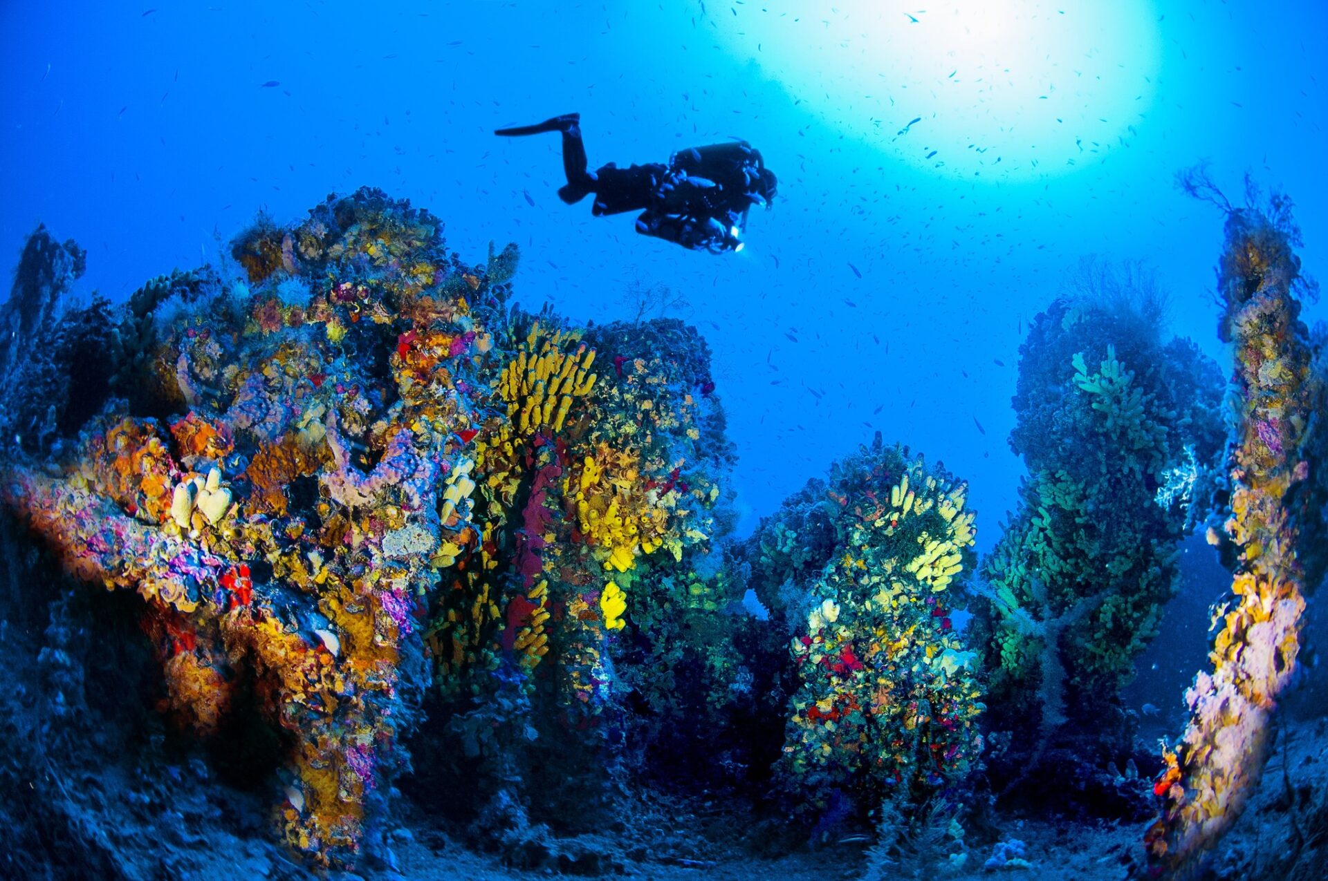 Diving