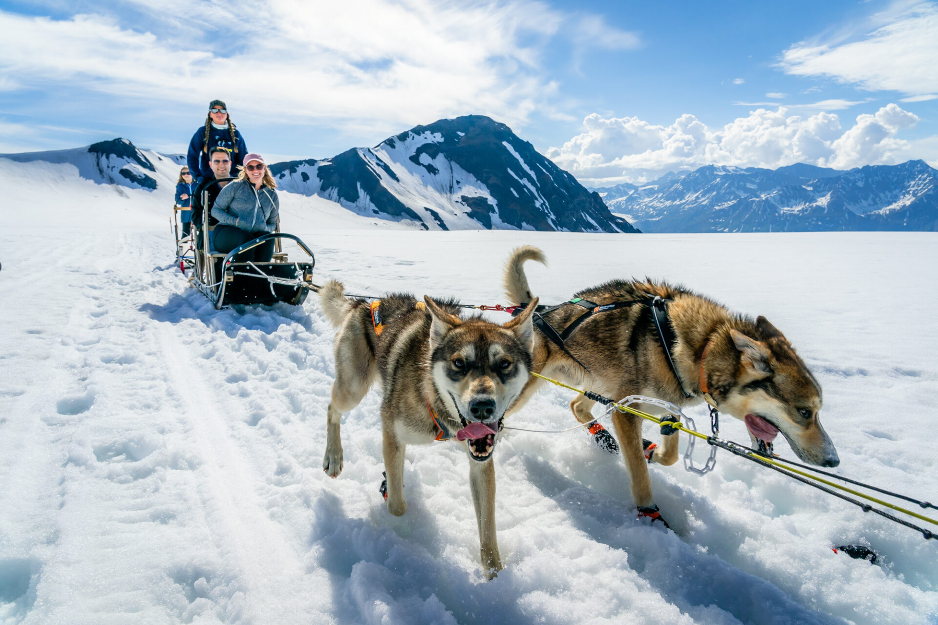 Dog Sledding on Glacier - Alaska DMC