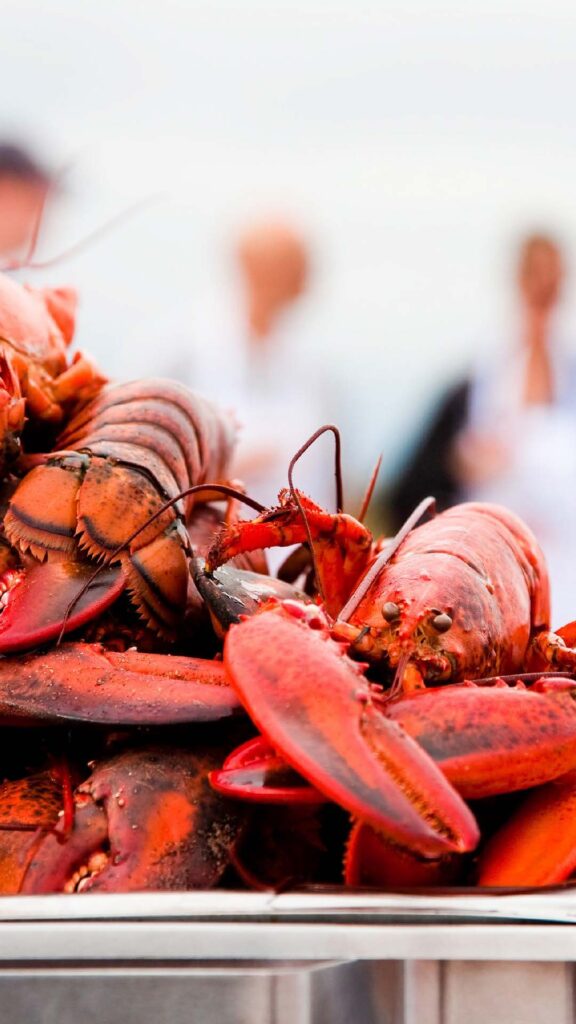 Lobster dinners