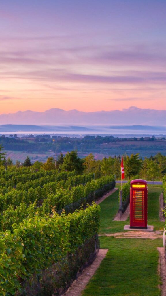 Winery tours
