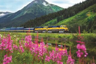Luxury Train Trips - Alaska DMC