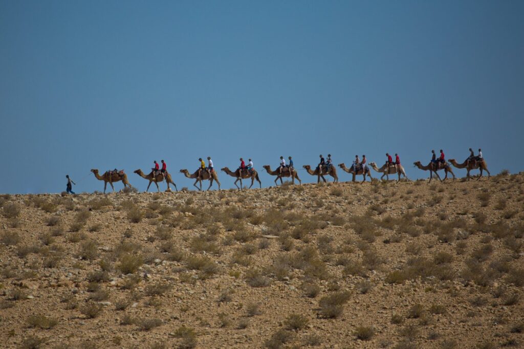 Camel ride