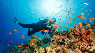 Scuba diving
