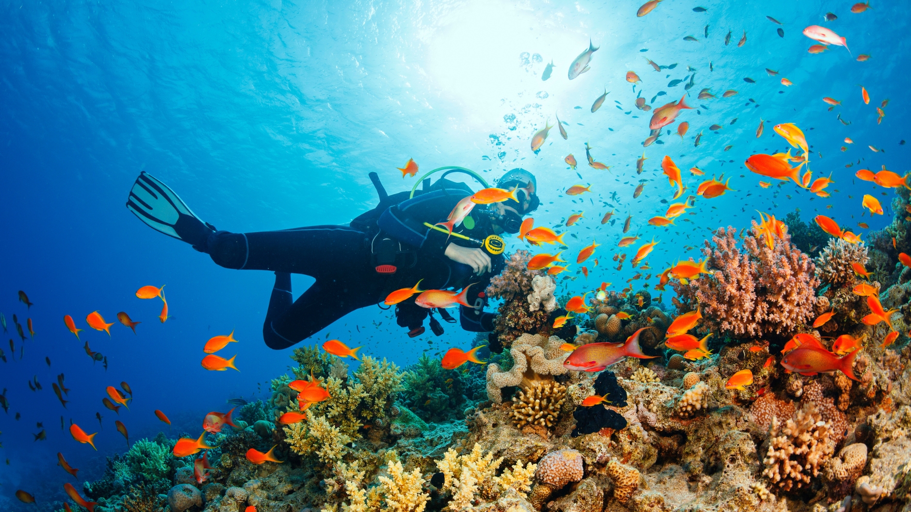 Scuba diving