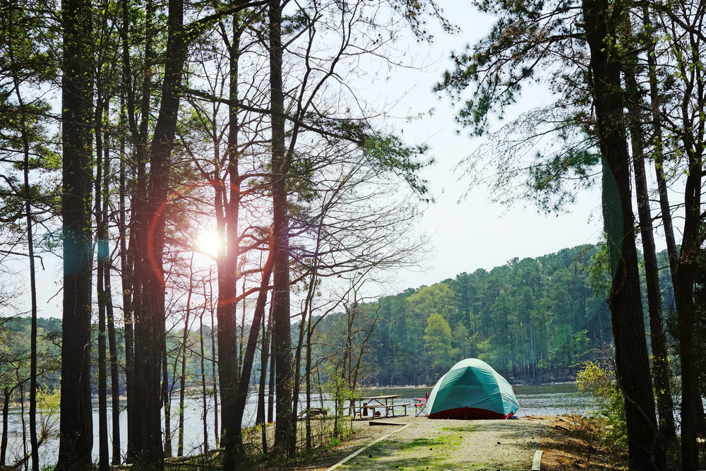 tent at nc campground
