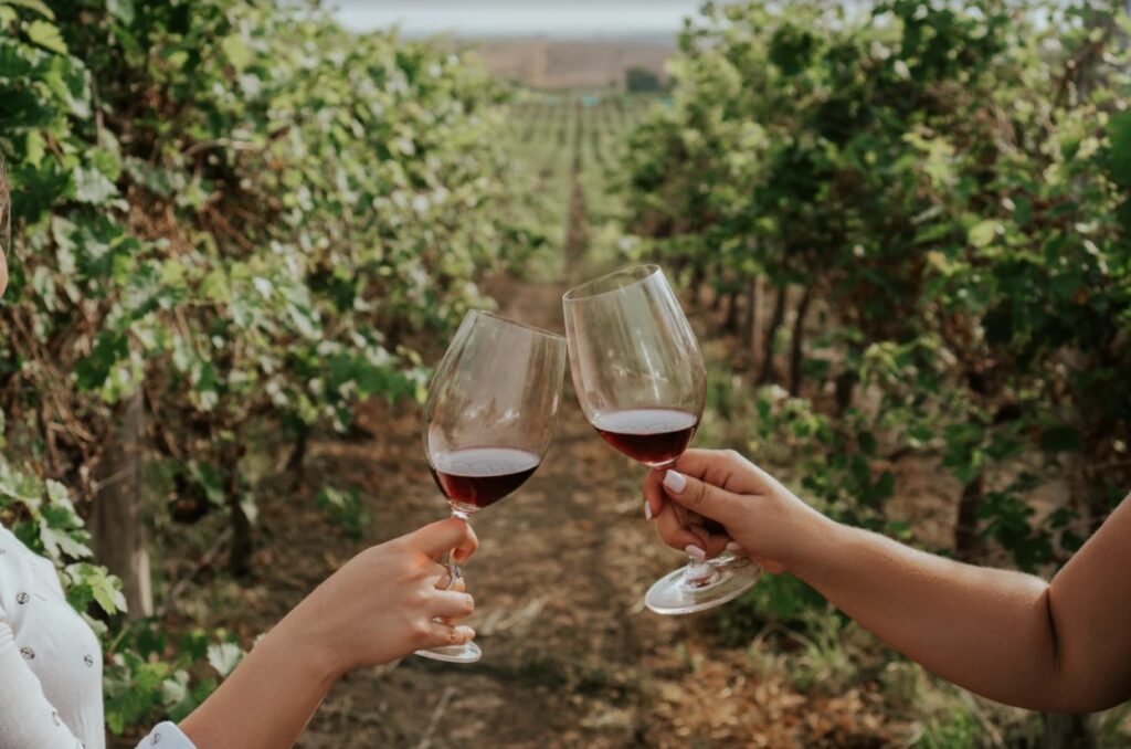 Ecuadorian winery