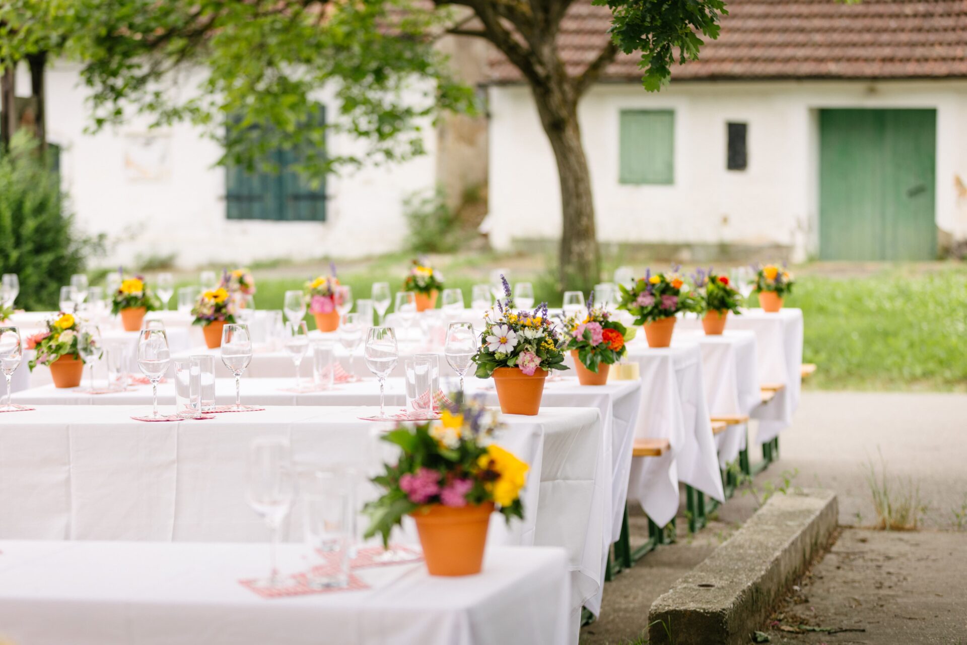 Wine Feast