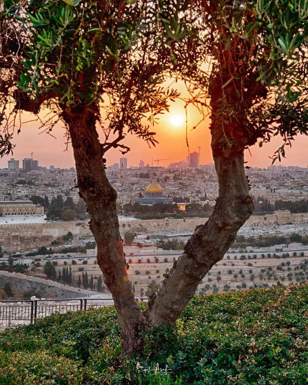 Jerusalem View