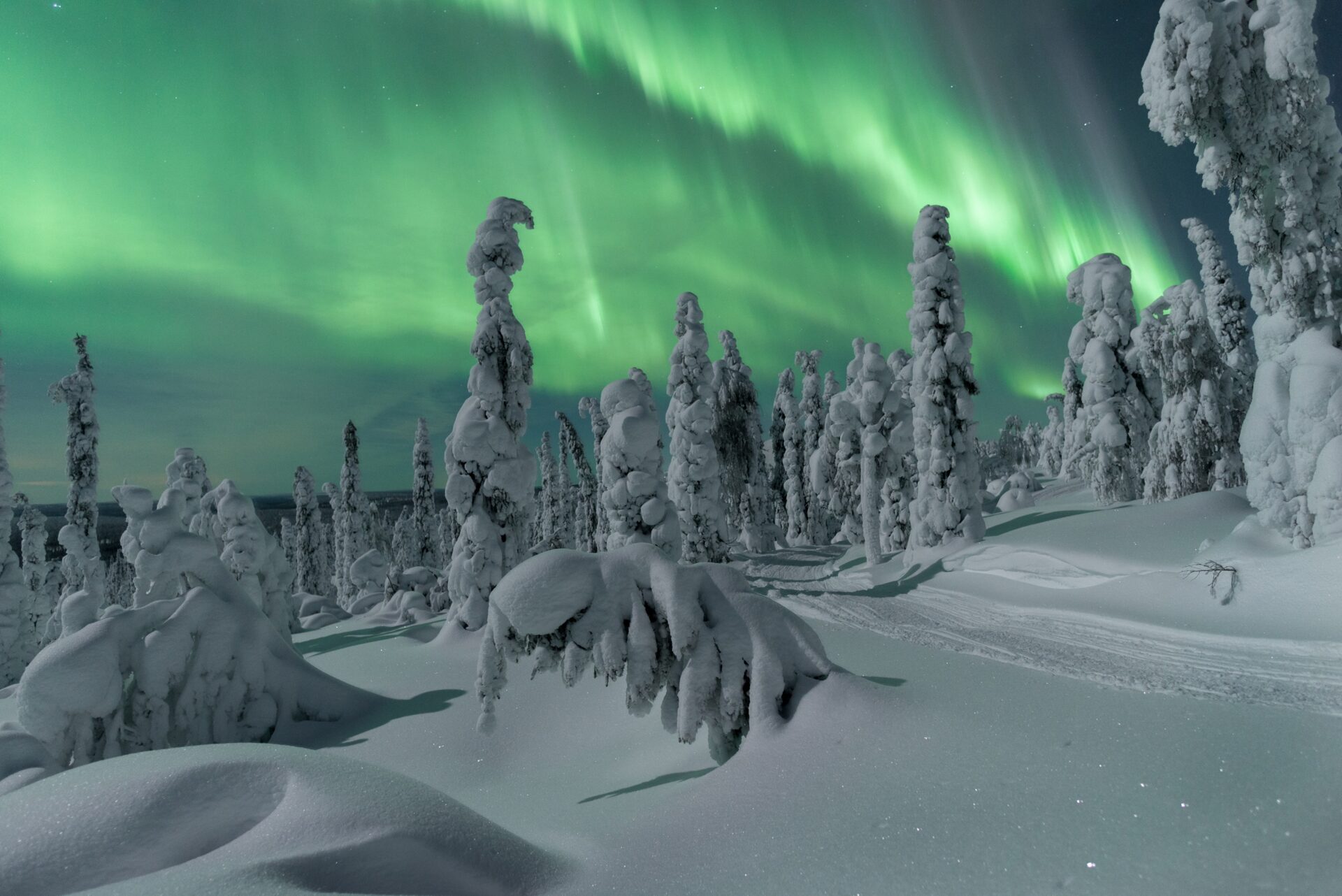 Northern lights