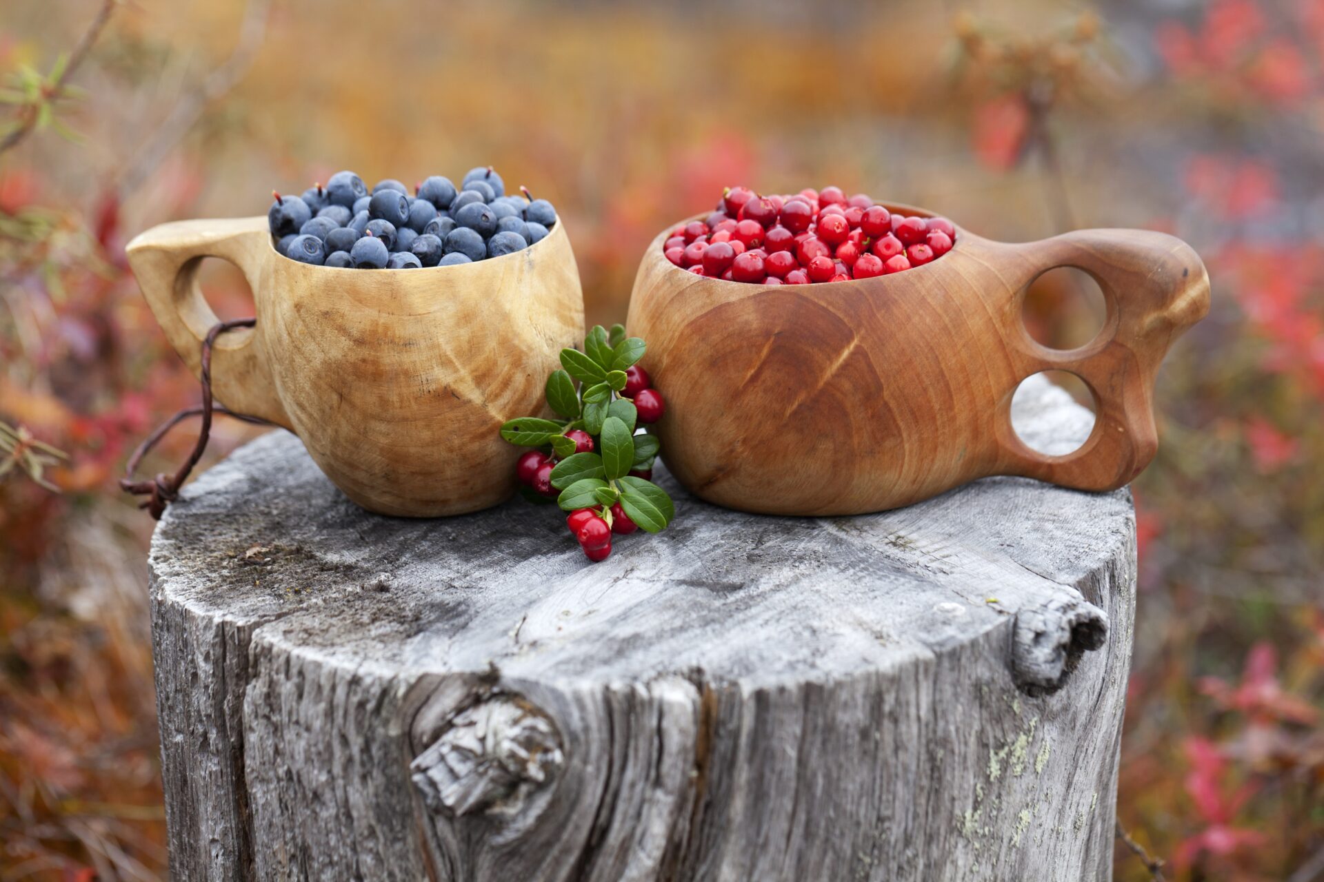 two bowls of fruit