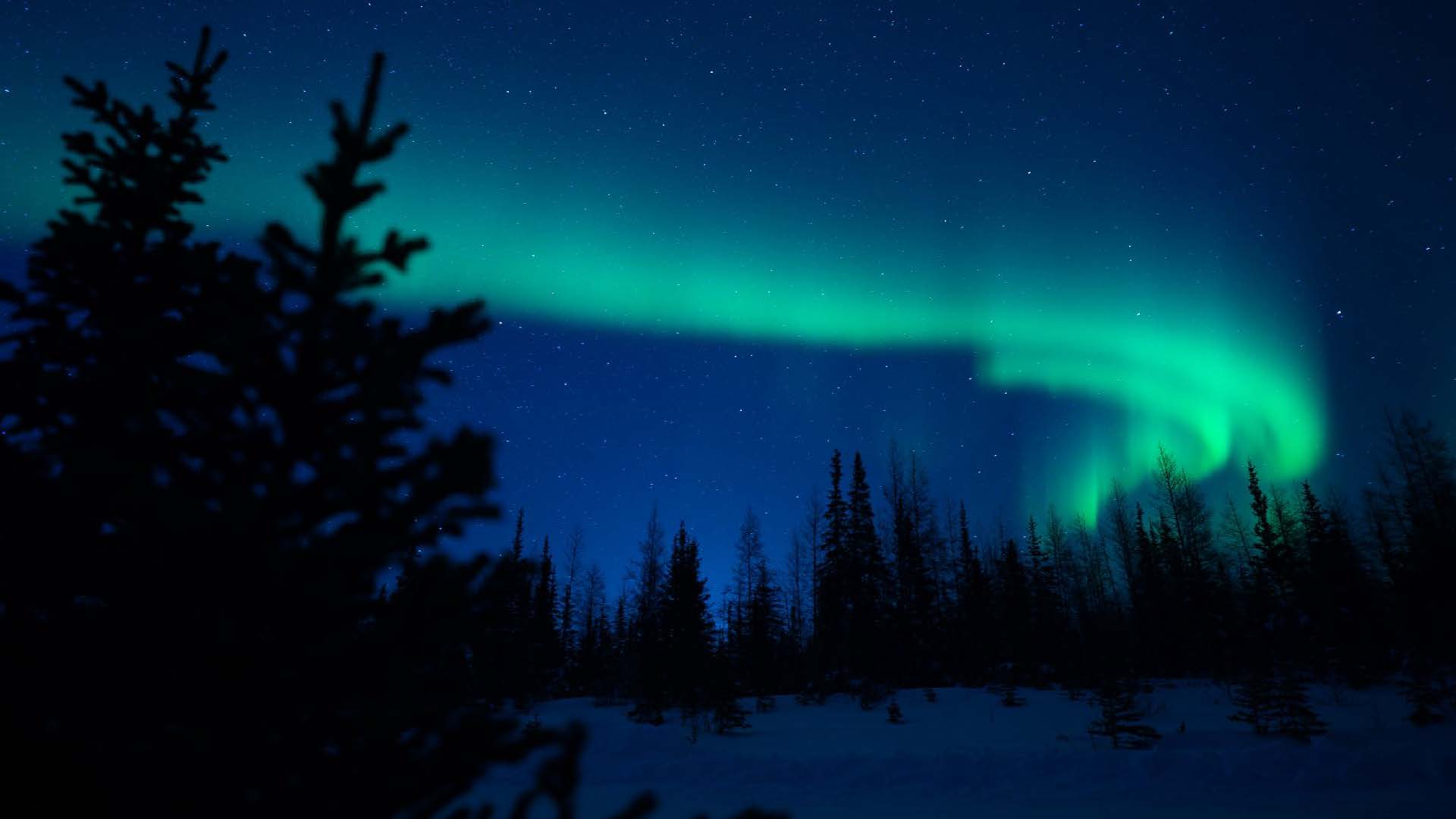 Northern lights