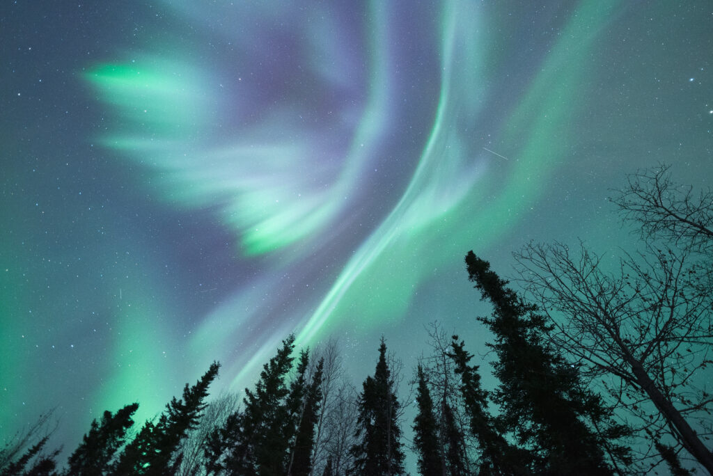 Northern Lights