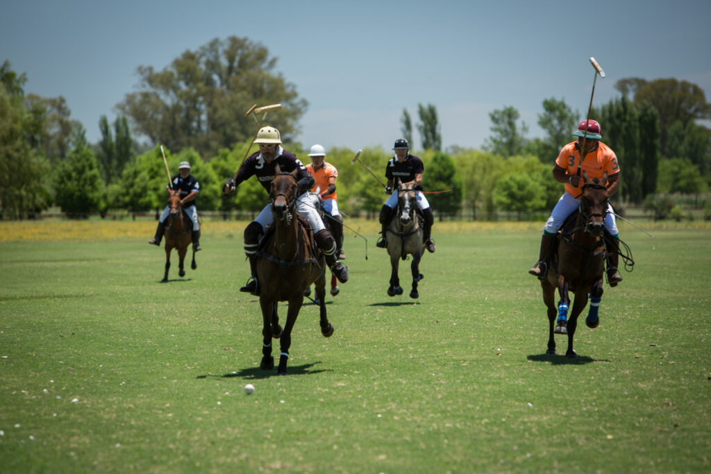 Polo