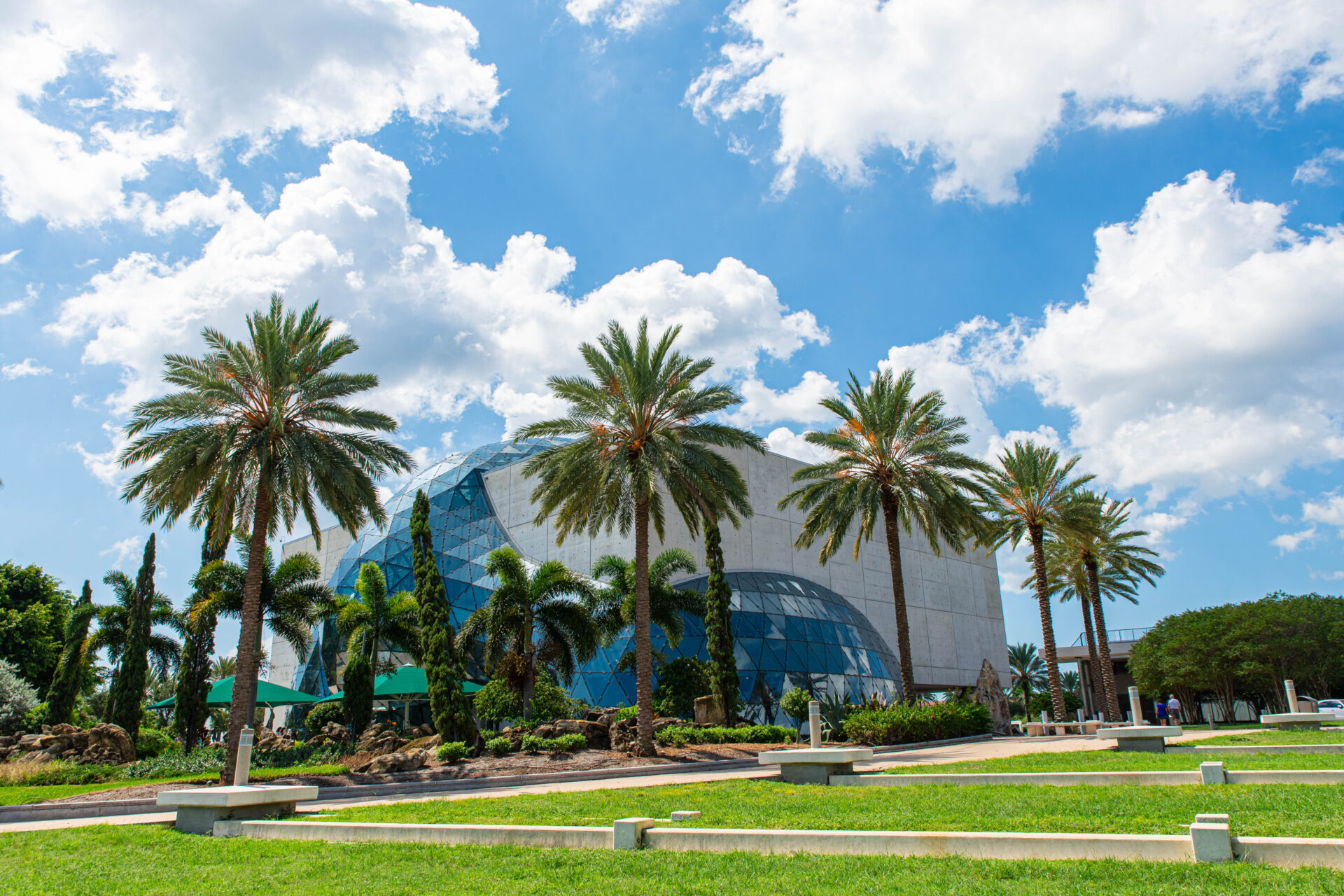 The Dali Museum