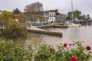 Colonia