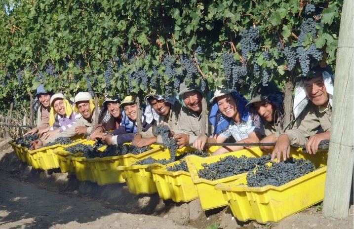 harvest