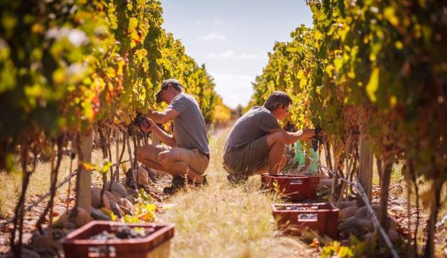 Harvest