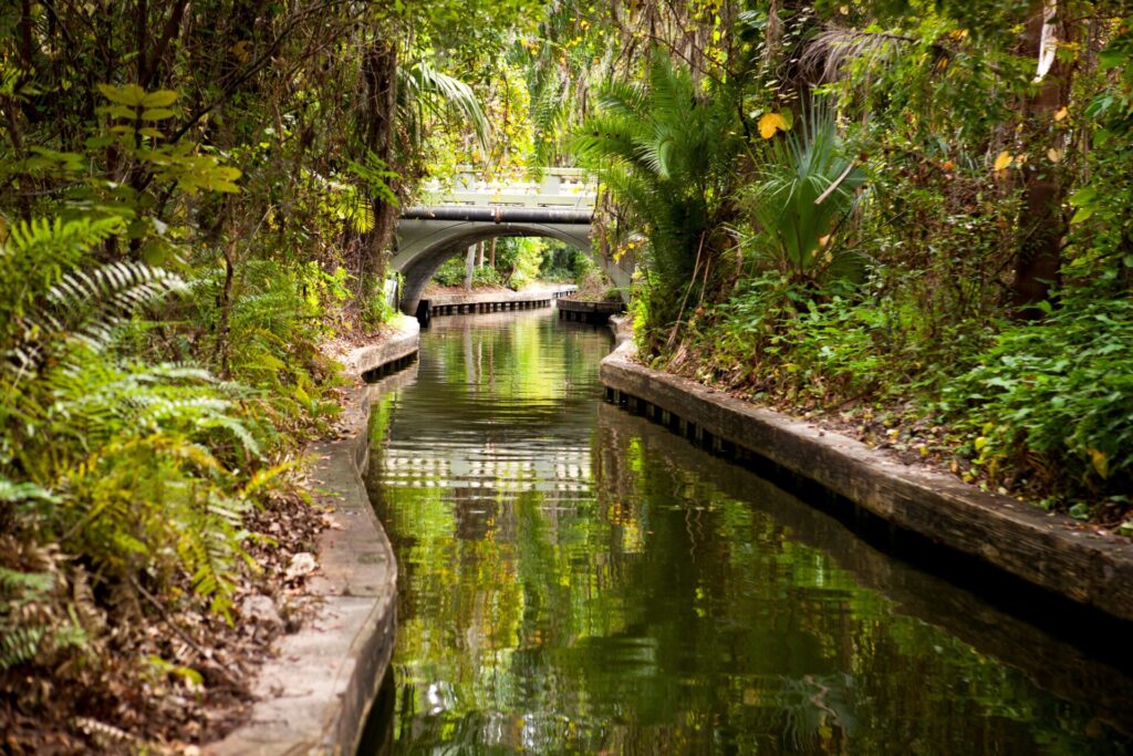 Winter Park Boat Tour