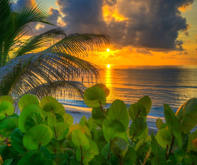 Sunrise Palm Beach