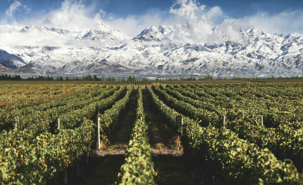 Mendoza