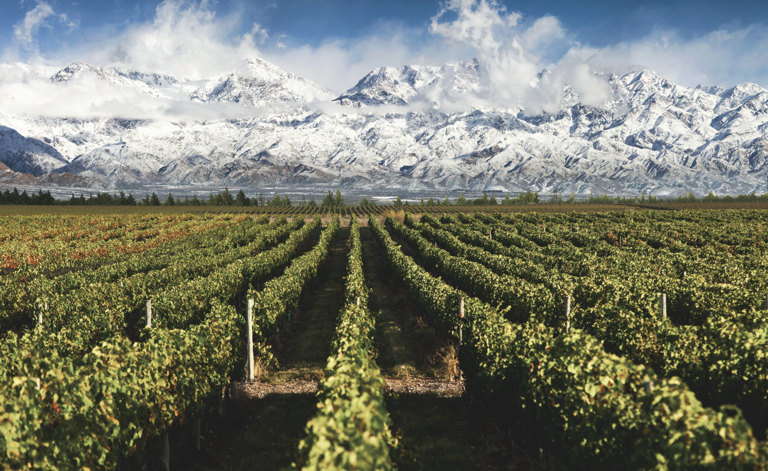 Mendoza