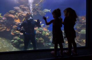 Underwater observatory museum