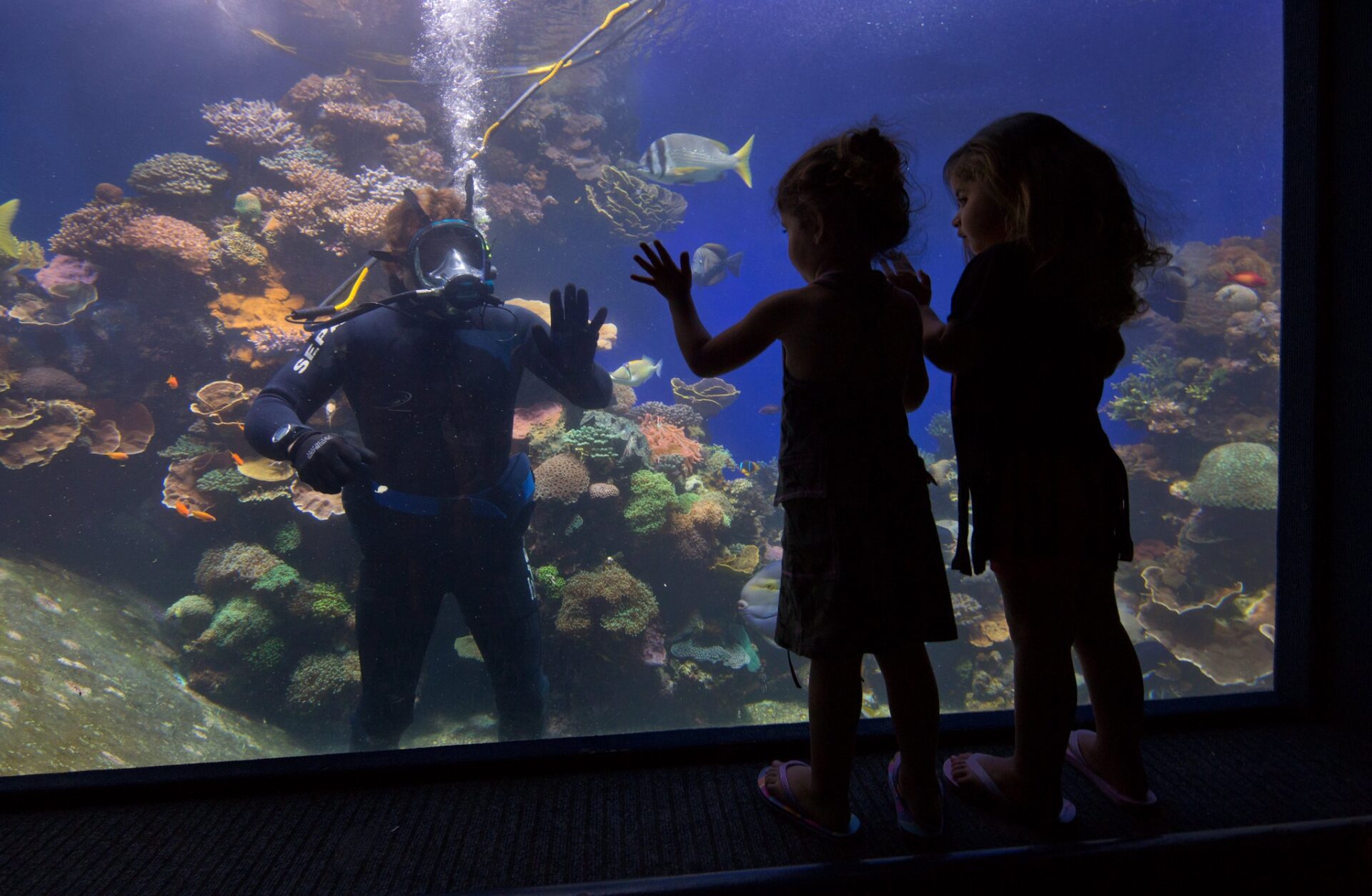 Underwater observatory museum