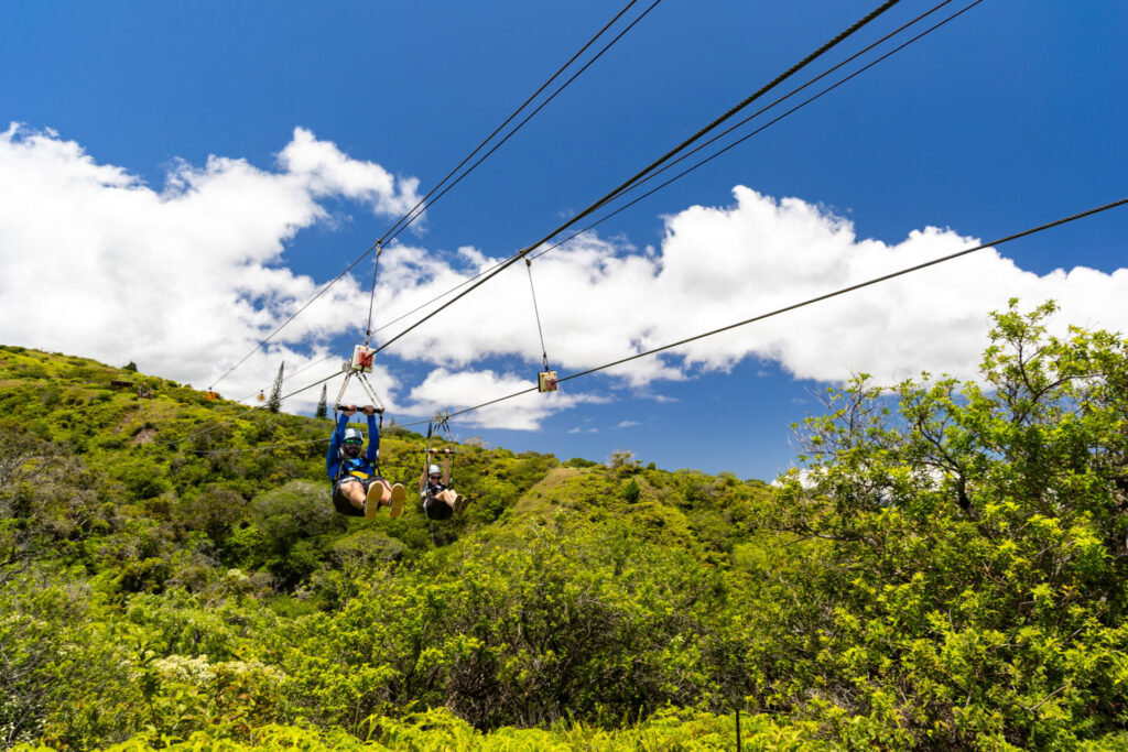 Zipline