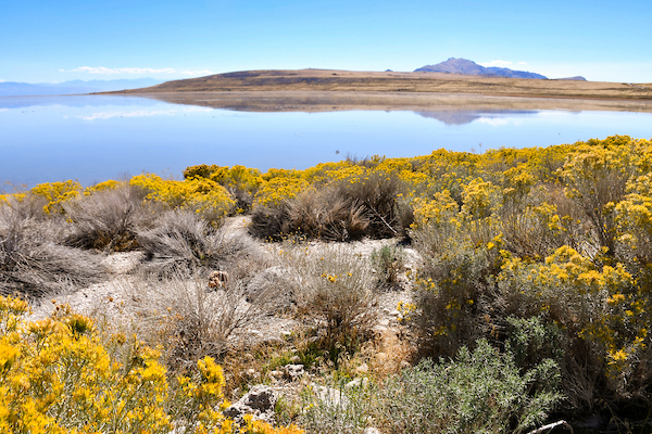 Salt Lake