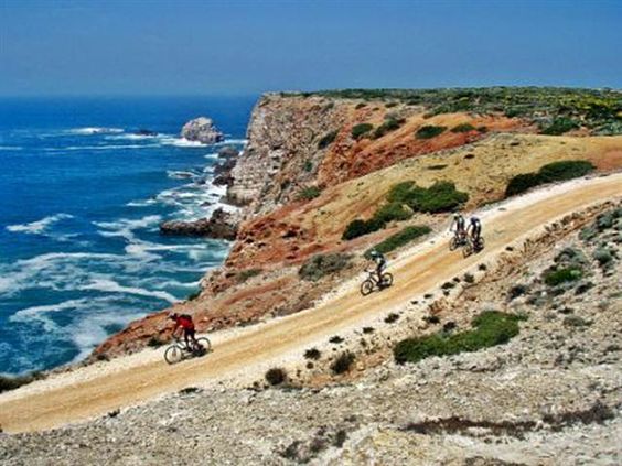Bike tour