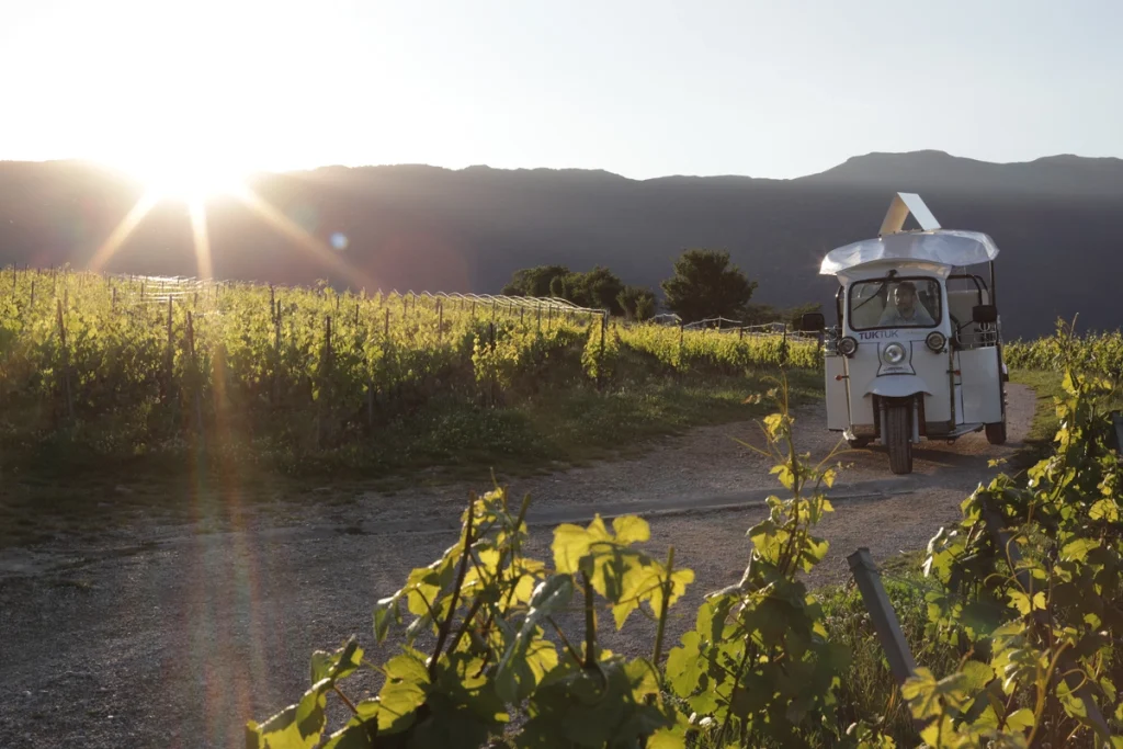 TukTuk wine tour