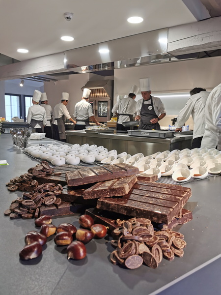 Gastronomic Lyon