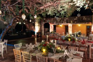 Dinner under a tree