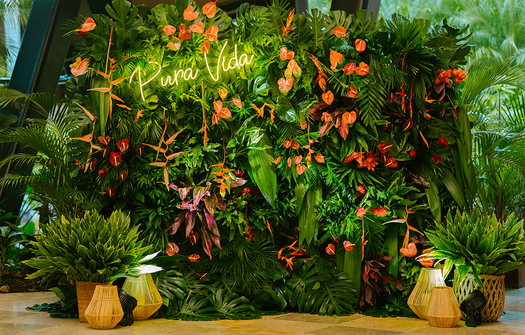 lush plants